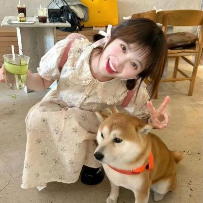 深夜中的企鹅